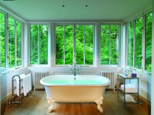 Lime Wood, Hampshire